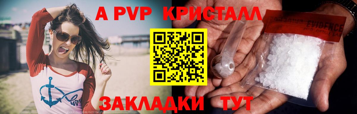 Альфа ПВП СК КРИС Алушта