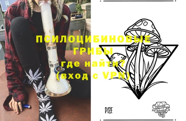 первитин Осинники