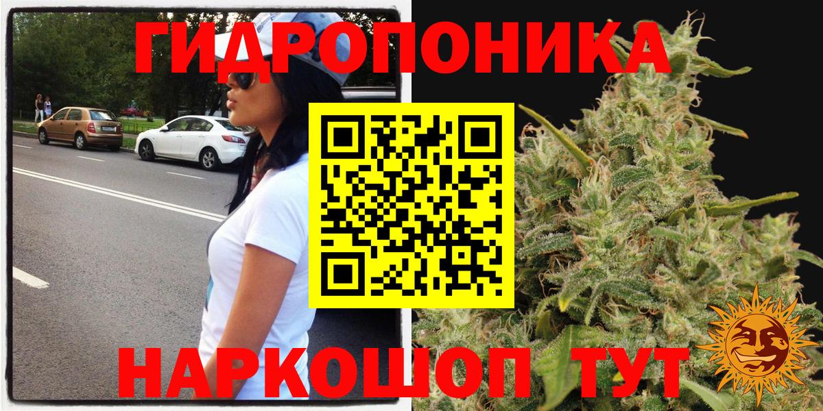 Бошки марихуана конопля  Шишки марихуана THC 21%  МАРИХУАНА планчик  Алушта 